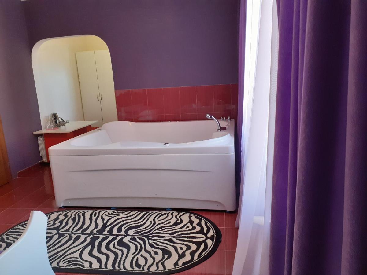гелов 3* Берковица