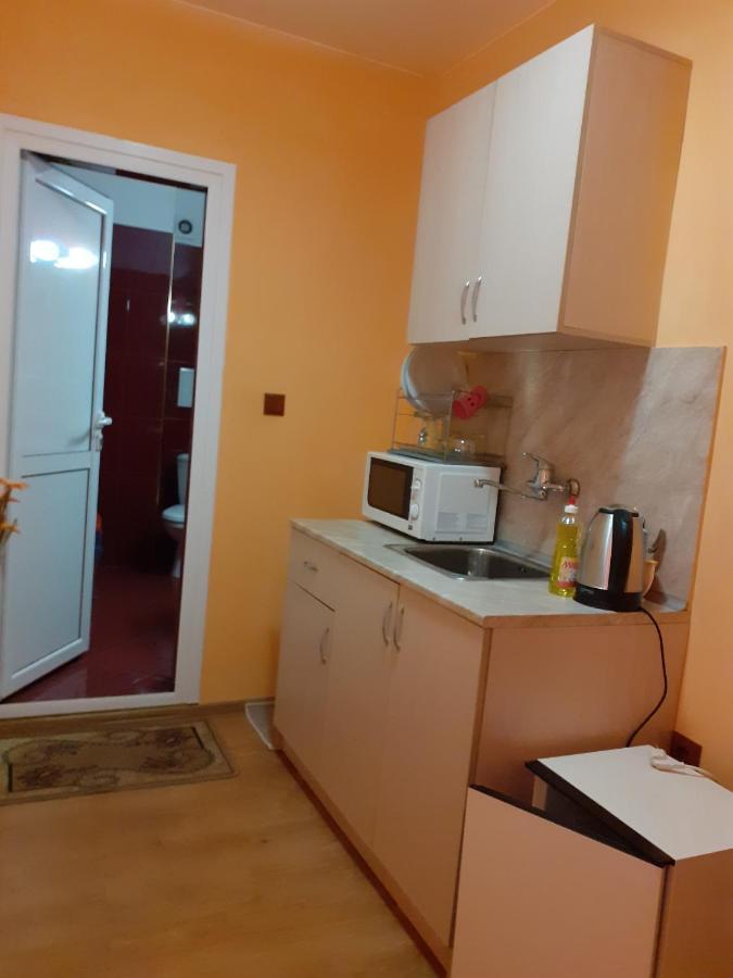 гелов 3* Берковица